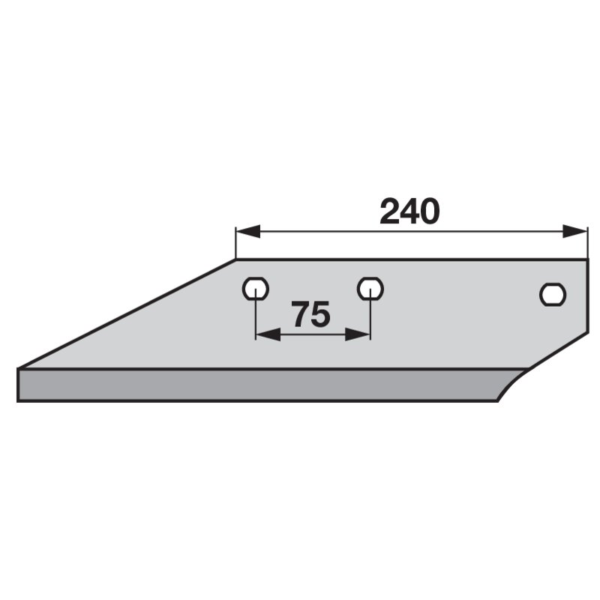Motičica grubera lijeva