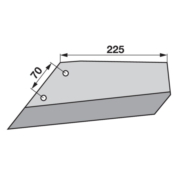 Motičica grubera lijeva