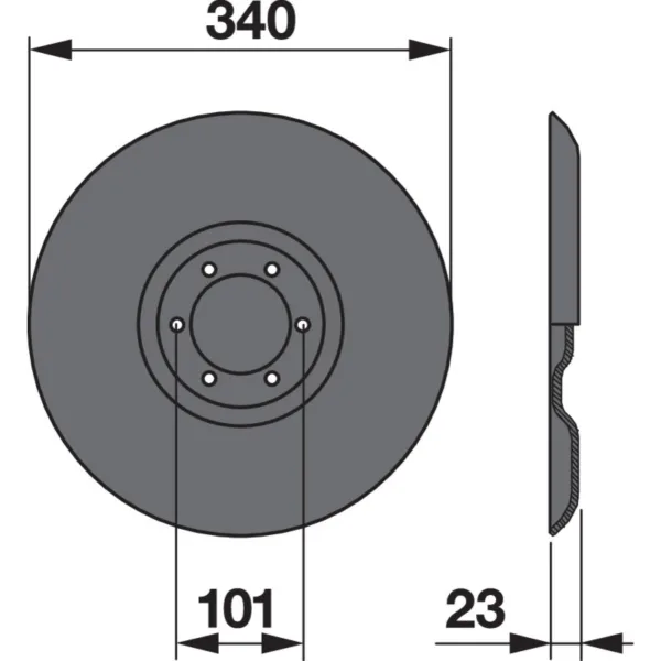Disk