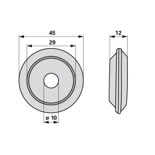 Disk