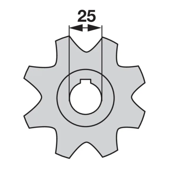 Lančanik