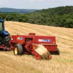 Balirke