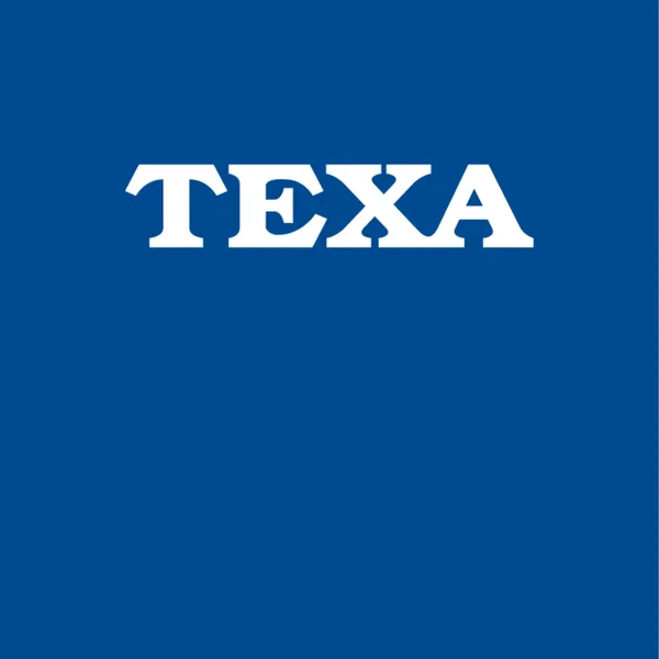 TEXA Sanierungskosten LKW 7 - 12 Monate RIS.TRUCK/1B